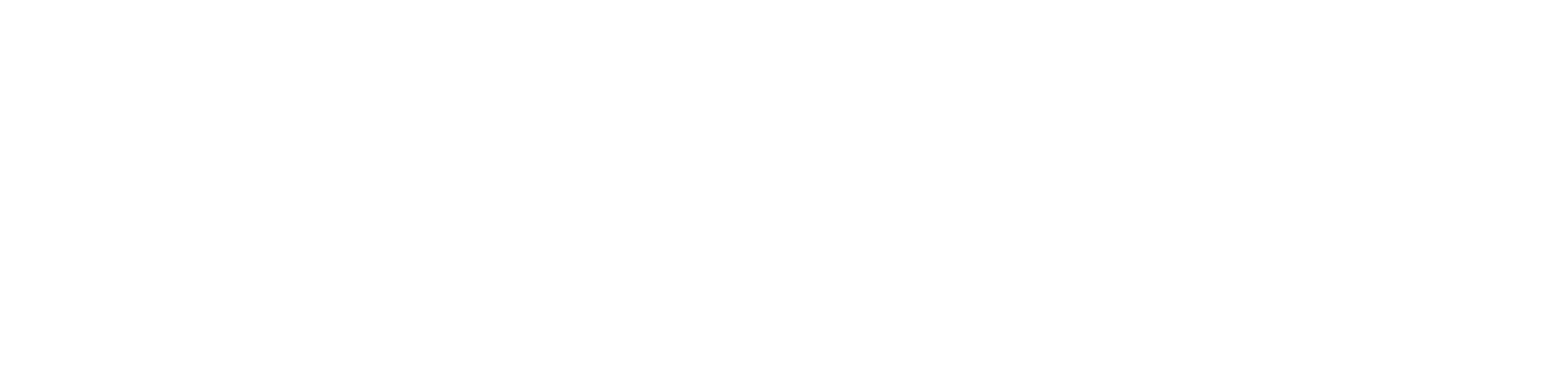 Voyager mix logo